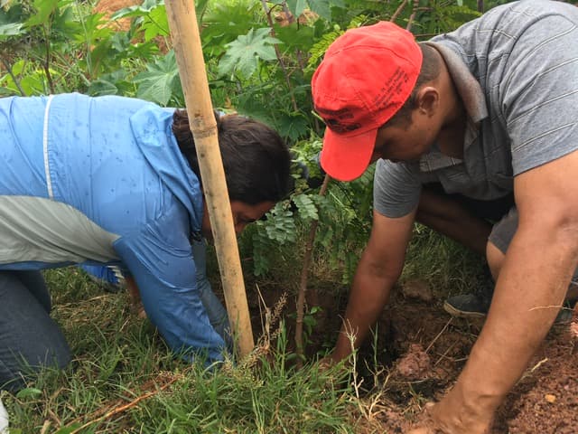 Plantio de mudas para arborização da Ocupação Paulo Freire. Fonte: Natureza Política, 2018
