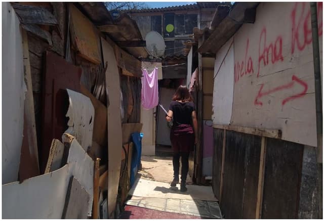 Levantamento Censitário